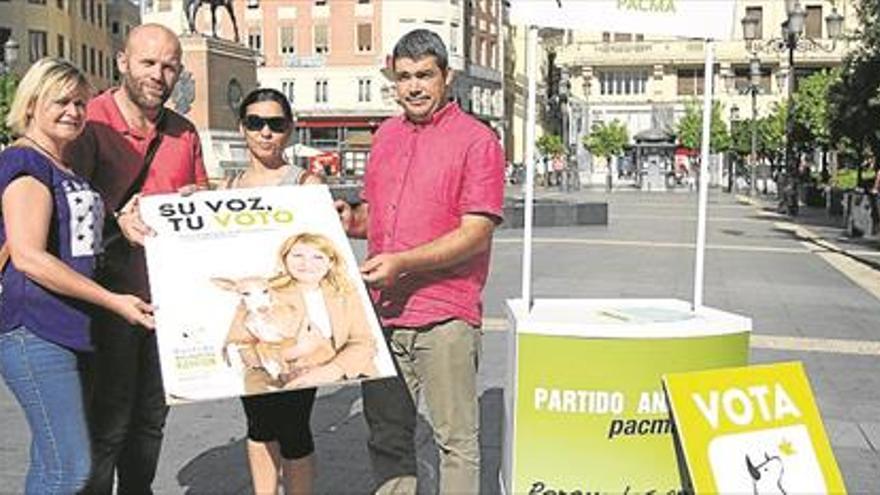 Pacma espera conseguir un diputado en Córdoba