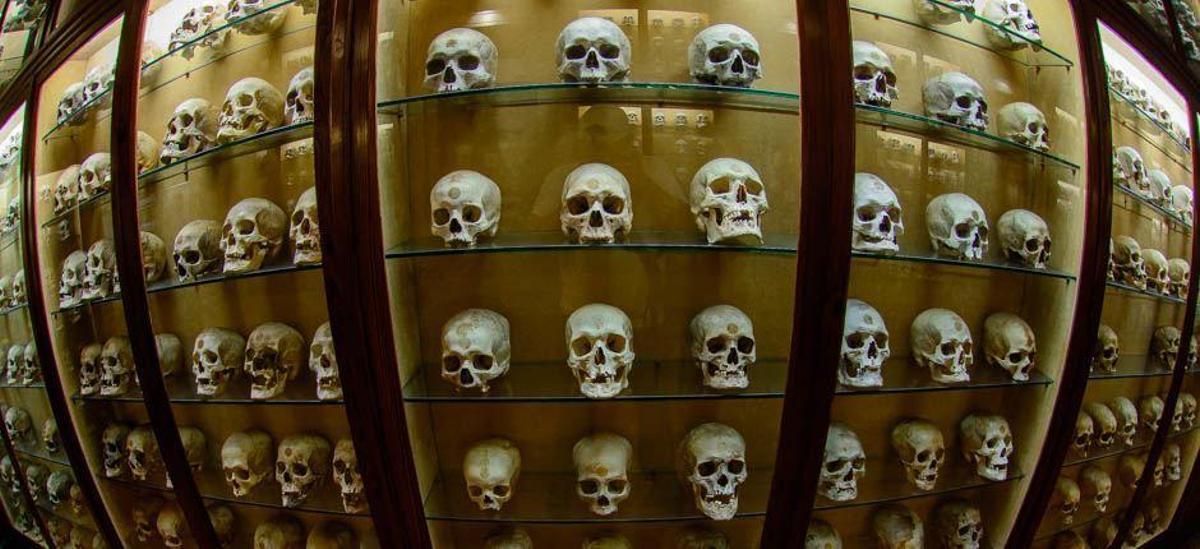 El Museo Canario