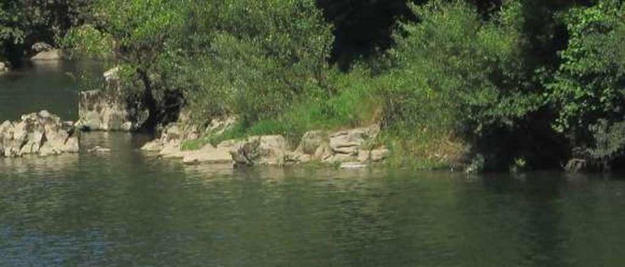 Canoas en el río Sella.