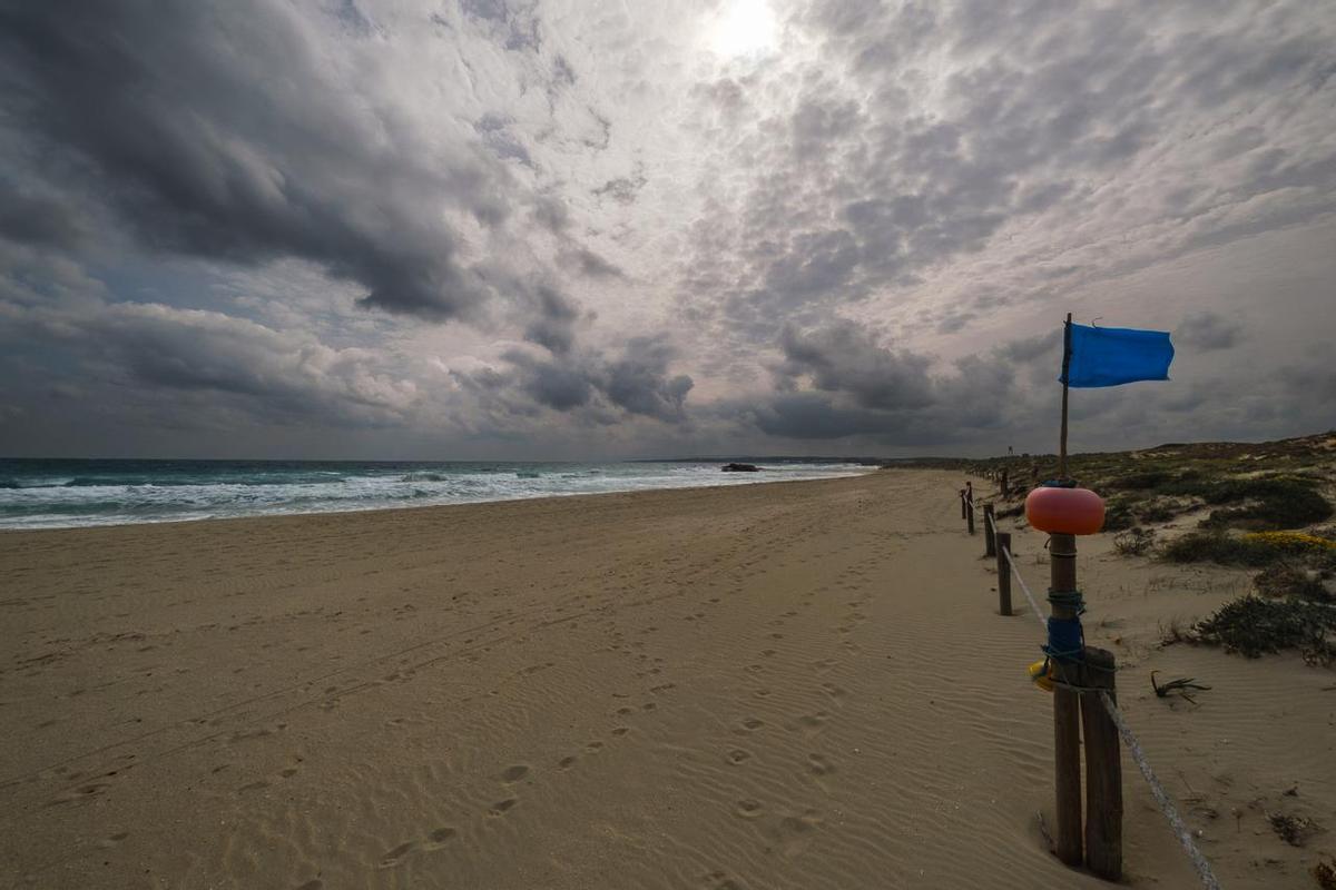 Playa de ses Canyes, cerca de es Pujols, donde fue localizado el cadáver