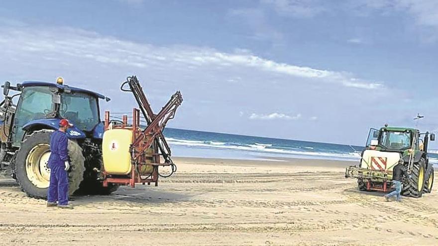 Andalucía investiga la fumigación con lejía   de una playa de Cádiz