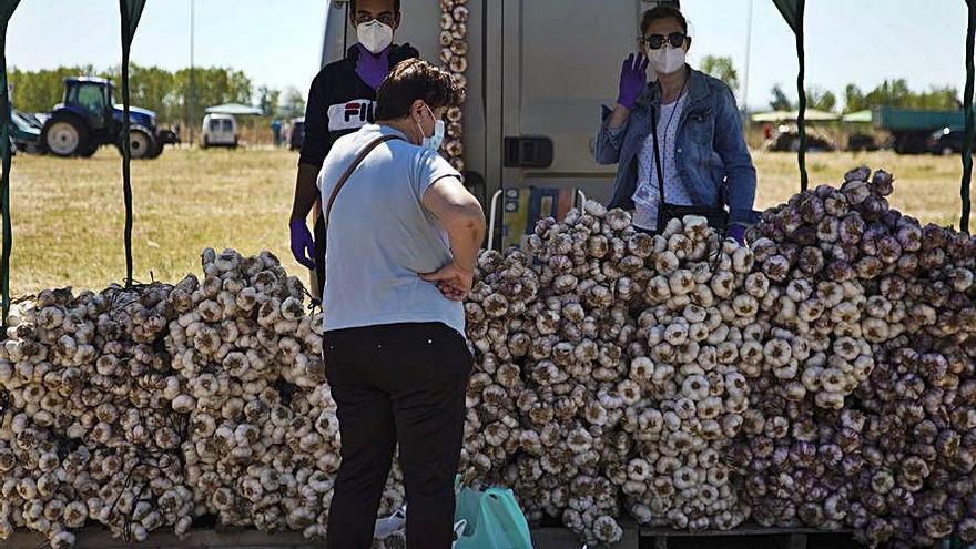 Productores de ajo en la feria celebrada en Ifeza (Zamora).