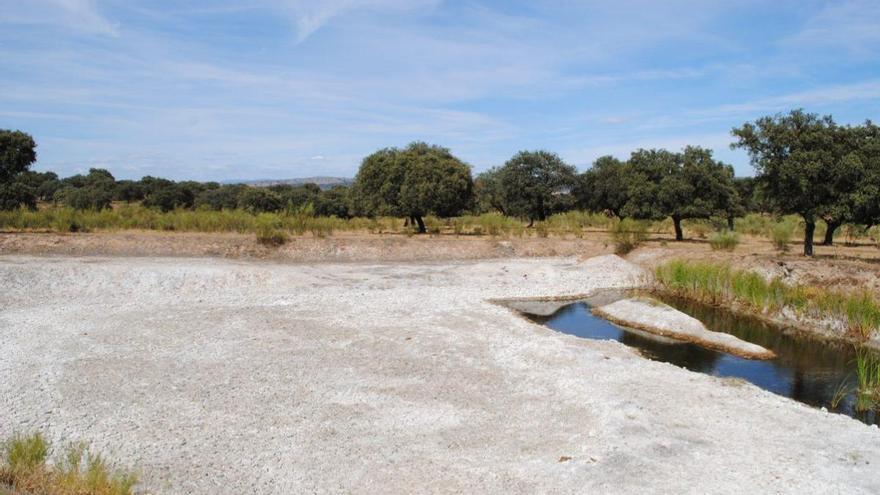 Charca, bosquetes y refugios: Así se recuperará el espacio degradado de la mina La Cierva, en el entorno de Monfragüe