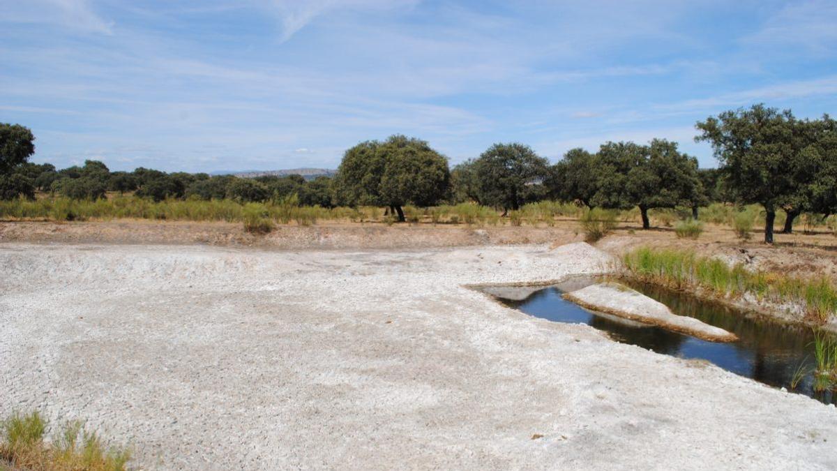 Entorno de la mina La Cierva, en la población extremeña de Torrejón El Rubio.