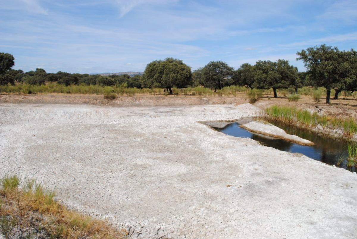 Entorno de la mina La Cierva, en la población extremeña de Torrejón El Rubio.