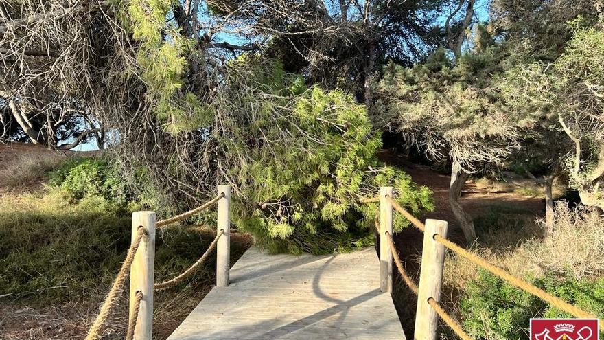 Un gran rama de un árbol cae sobre una pasarela en la playa de ses Salines