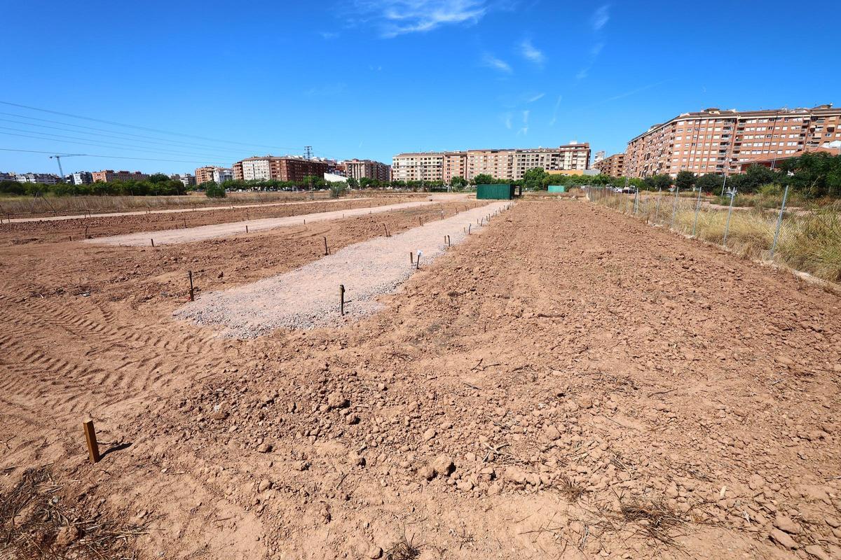 'Nuevo' huerto urbano de Castelló.