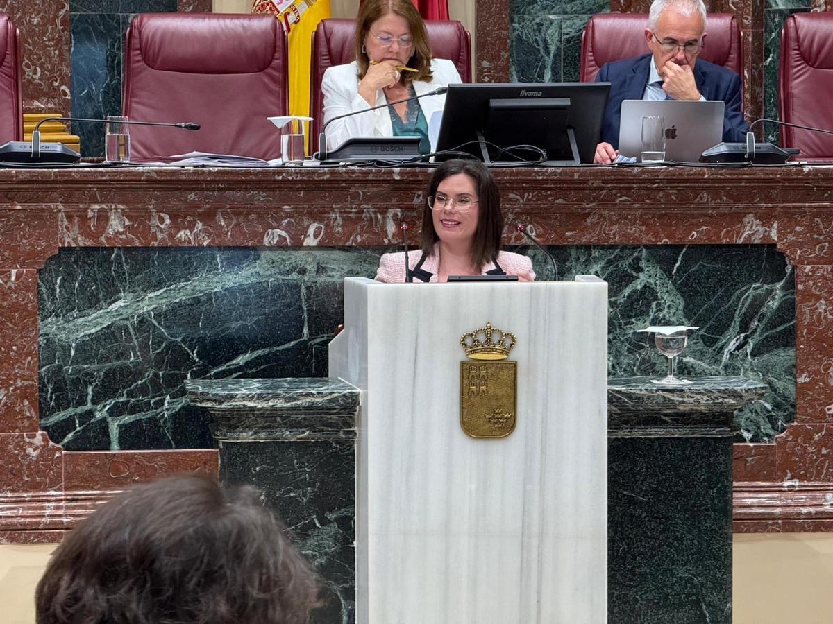 Toñi Abenza, diputada del Grupo Socialista.