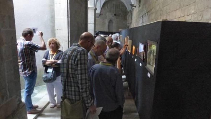 Amb motiu de la trobada es pot veure fins avui una exposició de diorames al claustre de la Seu