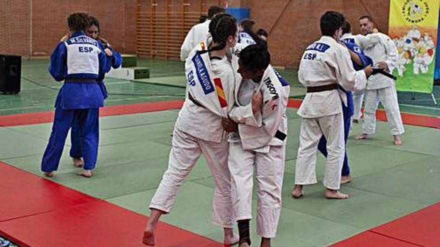 La Delegación Provincial de Judo cierra en Morales la temporada