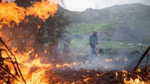 La gestió dels incendis forestals, Tema del Diumenge
