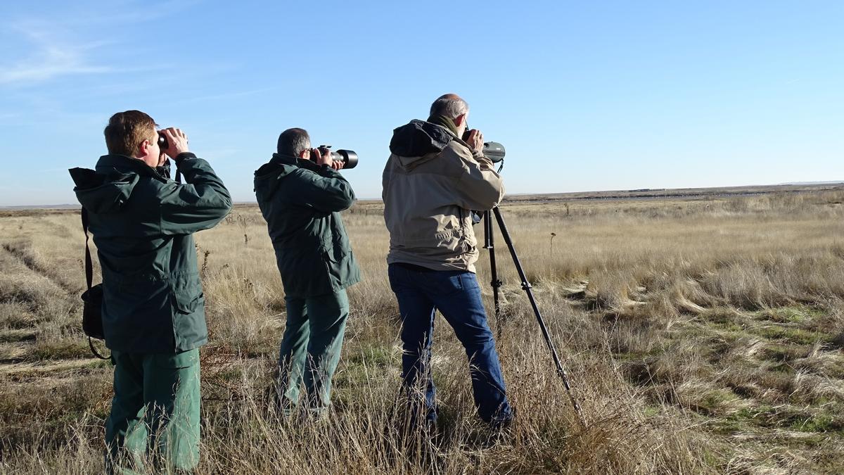 Estos censos de fauna convierten a Zamora en un atractivo turístico de primer nivel. En la imagen, observación de la naturaleza.