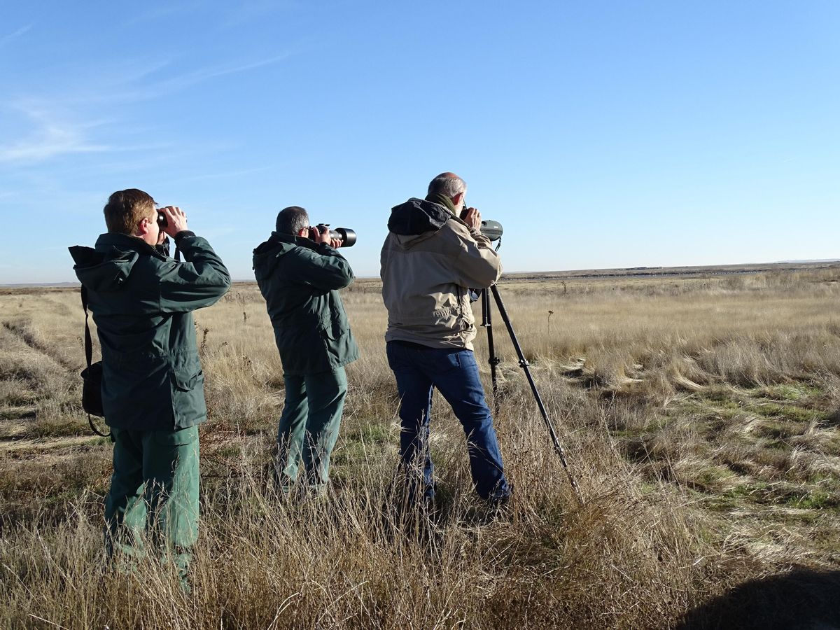 Estos censos de fauna convierten a Zamora en un atractivo turístico de primer nivel. En la imagen, observación de la naturaleza.