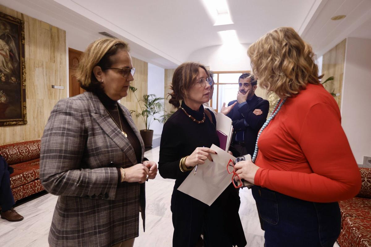 Pleno Ayuntamiento de Córdoba febrero. Ayuntamiento Manifestación de la plantilla de Hitachi, Policía local, La Comisión Coordinadora de la Plataforma de Afectados por los premios de jubilación en el Ayuntamiento de Córdoba, que afecta a más de 250 trabajadores jubilados