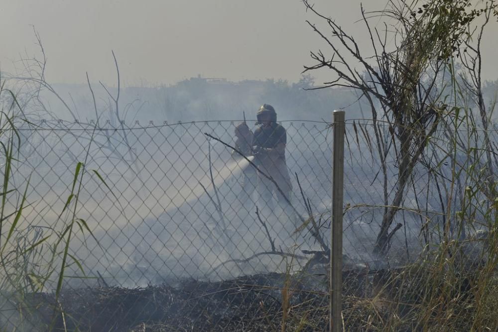 Incendio de matorral en Cabezo de Torres