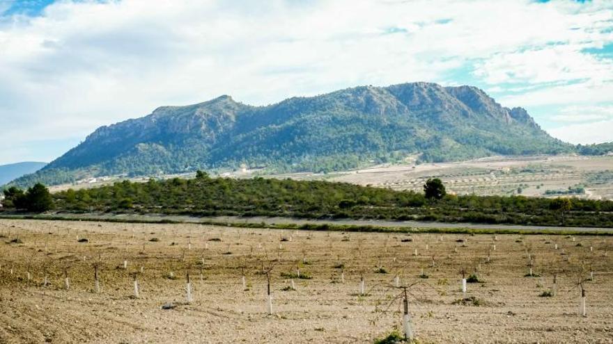 Rutas para conocer los parajes de Elda