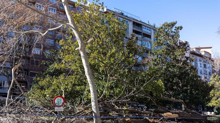 Los efectos de la borrasca Oriana en Aragón