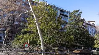 En directo | La borrasca Oriana azota Aragón: tres carreteras cortadas en el Pirineo, el Canfranero interrumpido en Jaca y árboles caídos en Zaragoza capital