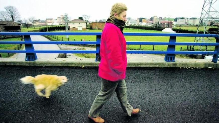 paseo de la A-63. Vidalina Fernández pasea a su perro por uno de los tramos casi terminados, pero sin servicio, de la autovía A-63, que debería conectar Oviedo con La Espina, que se aprecia al fondo. / mara villamuza