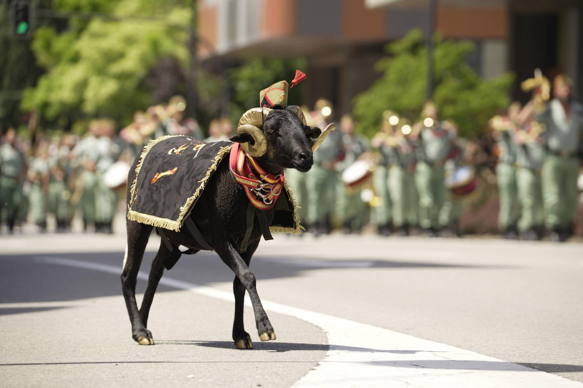 EN IMÁGENES: Así fue el multitudinario desfile en Oviedo por el Día de las Fuerzas Armadas