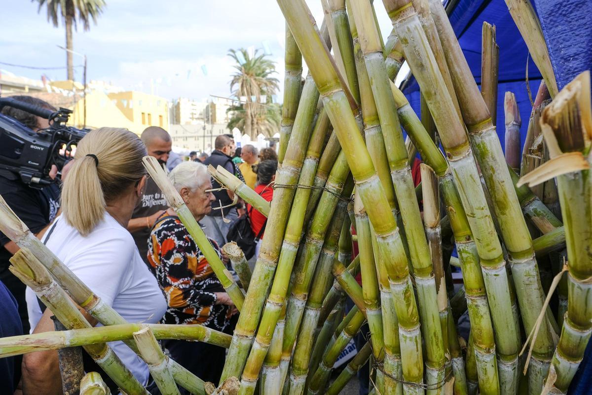 Venta de caña dulce en las fiestas de Jinámar