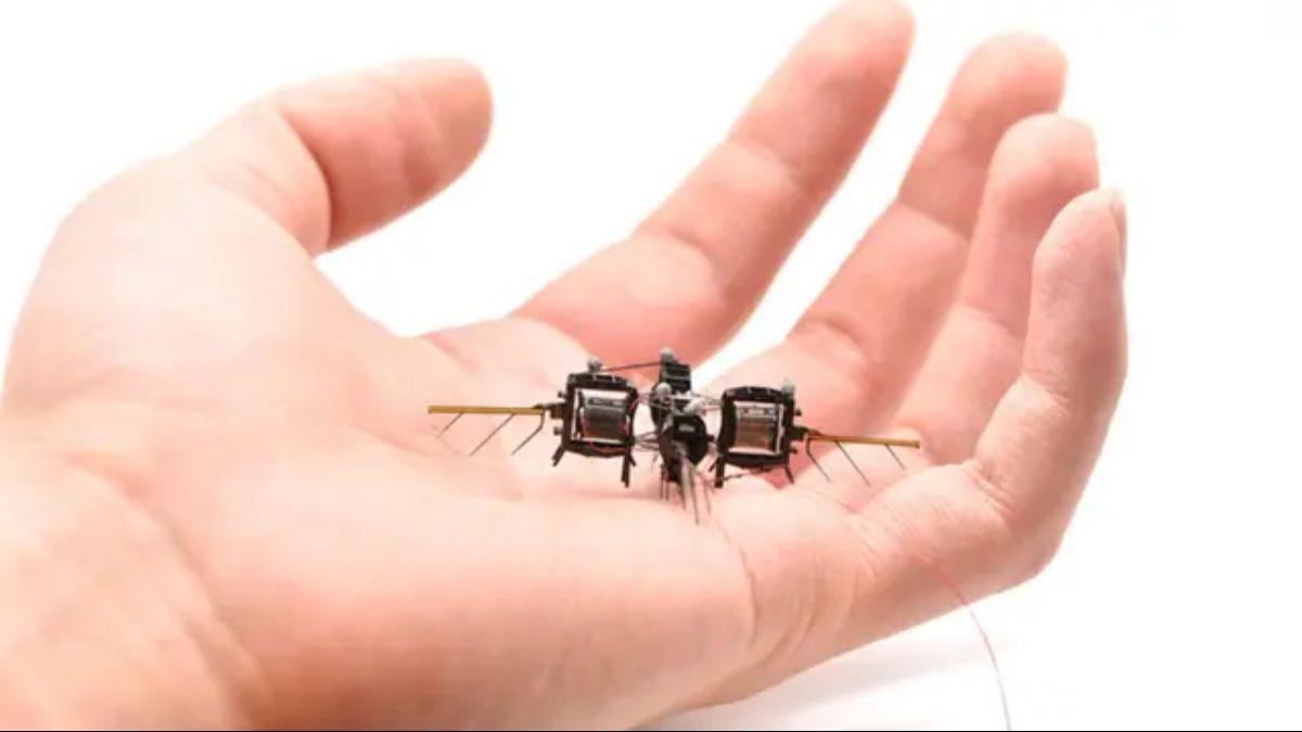 El insecto robótico puede volar significativamente más rápido que bots similares, mientras completa maniobras acrobáticas como volteos aéreos dobles.