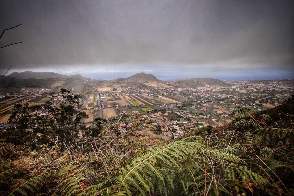 Apertura de las zonas recreativas de Tenerife