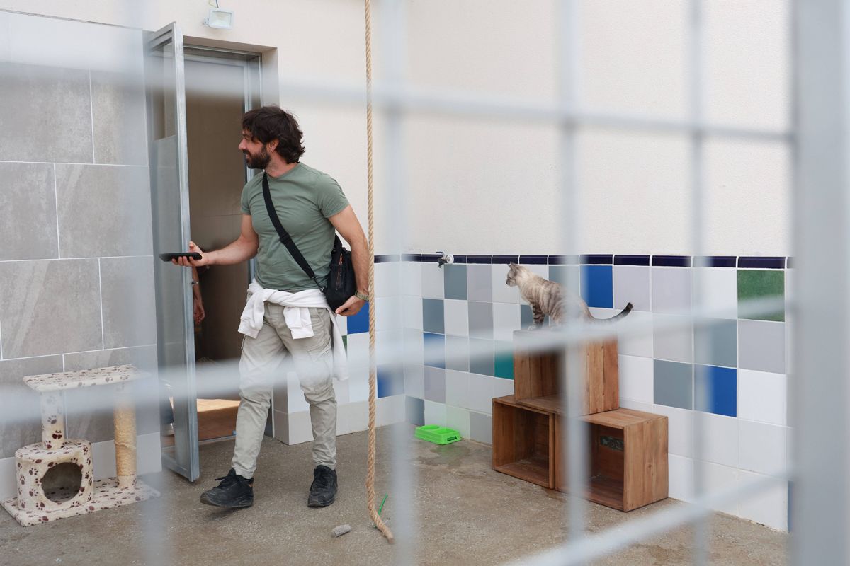 Fotogalería | Así es el nuevo albergue para animales de Cáceres