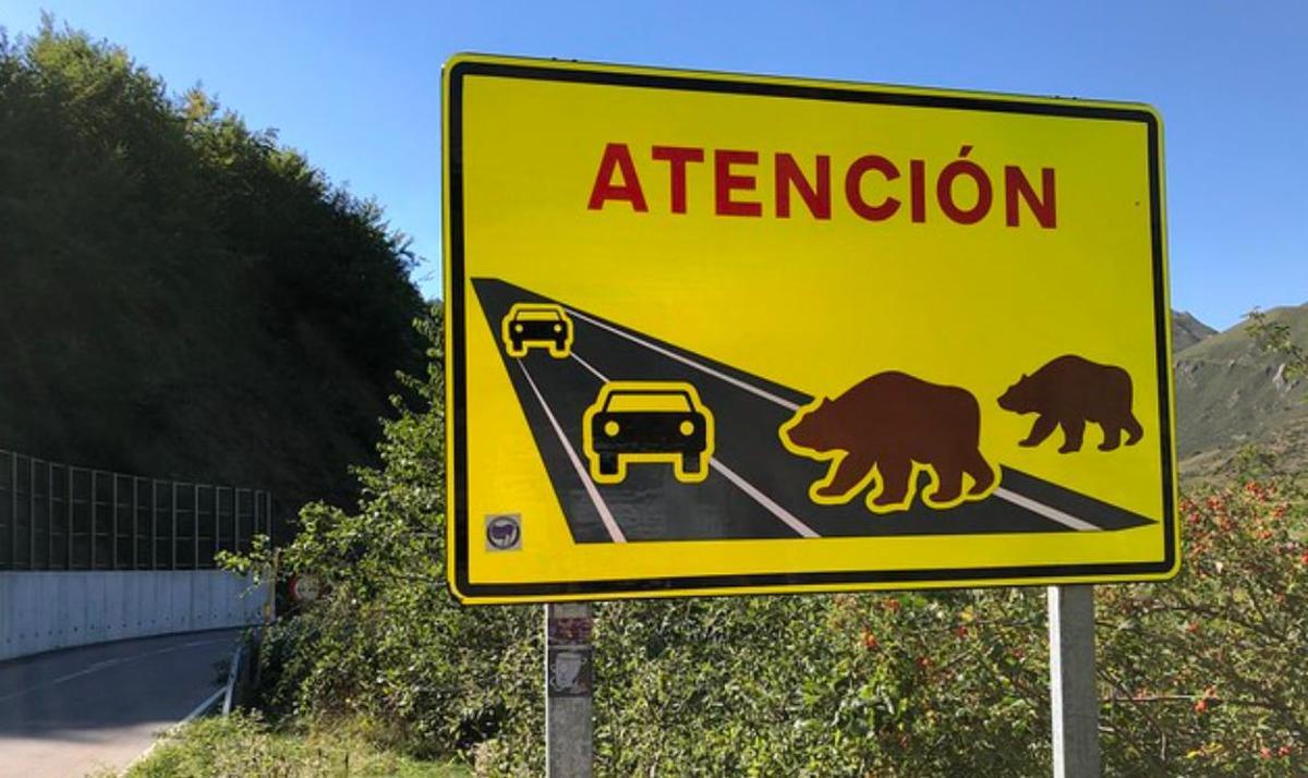 Señal de peligro de osos salvajes en Babia (León).