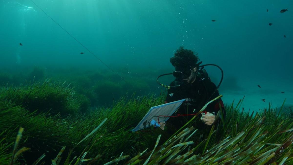 Para el estudio se hicieron
inmersiones con vehículos 
y buceo autónomo.  L.O.