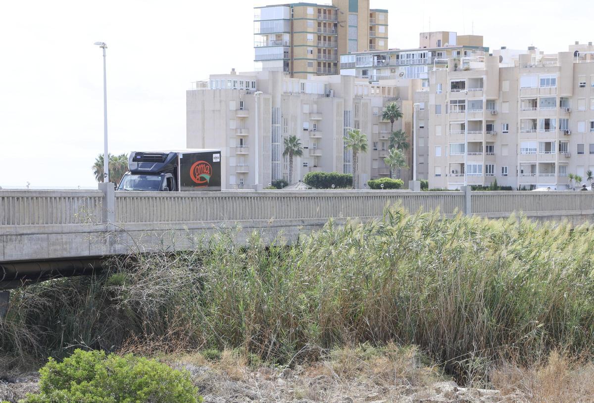 Abundante vegetación en el río Seco, a la altura del puente que une las playas campelleras de Muchavista y Carrer la Mar