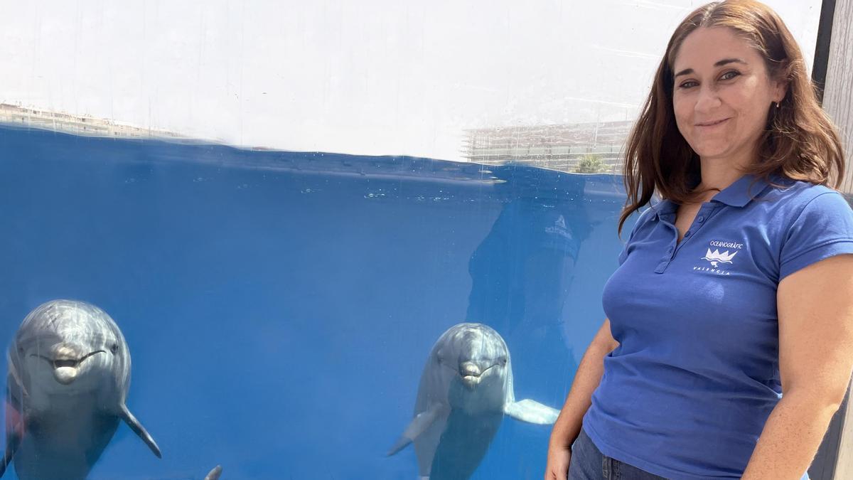 La bióloga María del Carmen Fuentes junto a tres delfines del Oceanogràfic de València