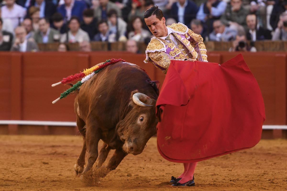El diestro David Galán