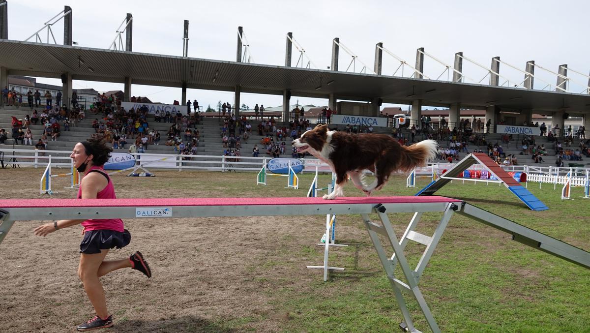 Actividades caninas en Abanca Semana Verde, 2021