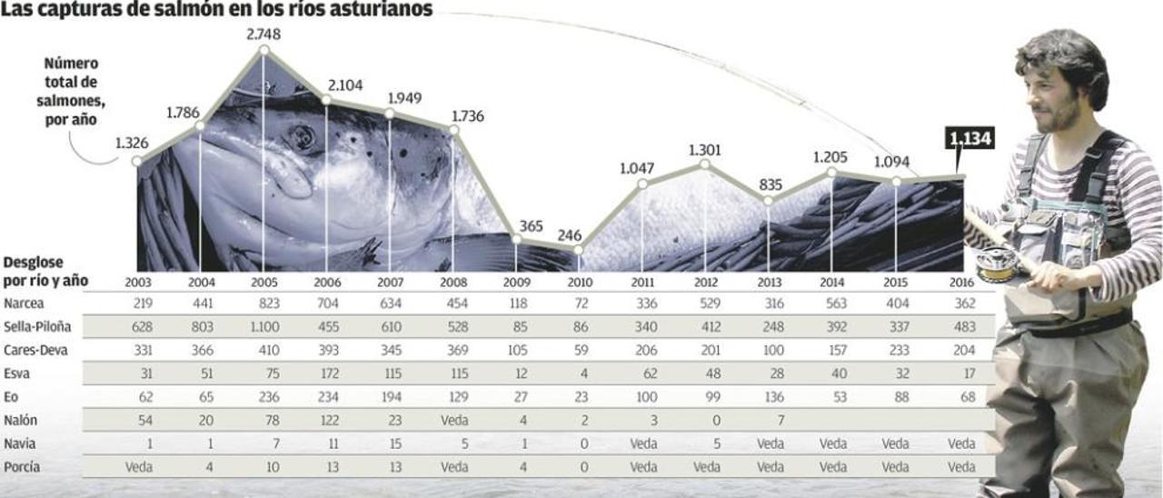 El &quot;año de la mosca&quot; se cierra con 1.134 capturas