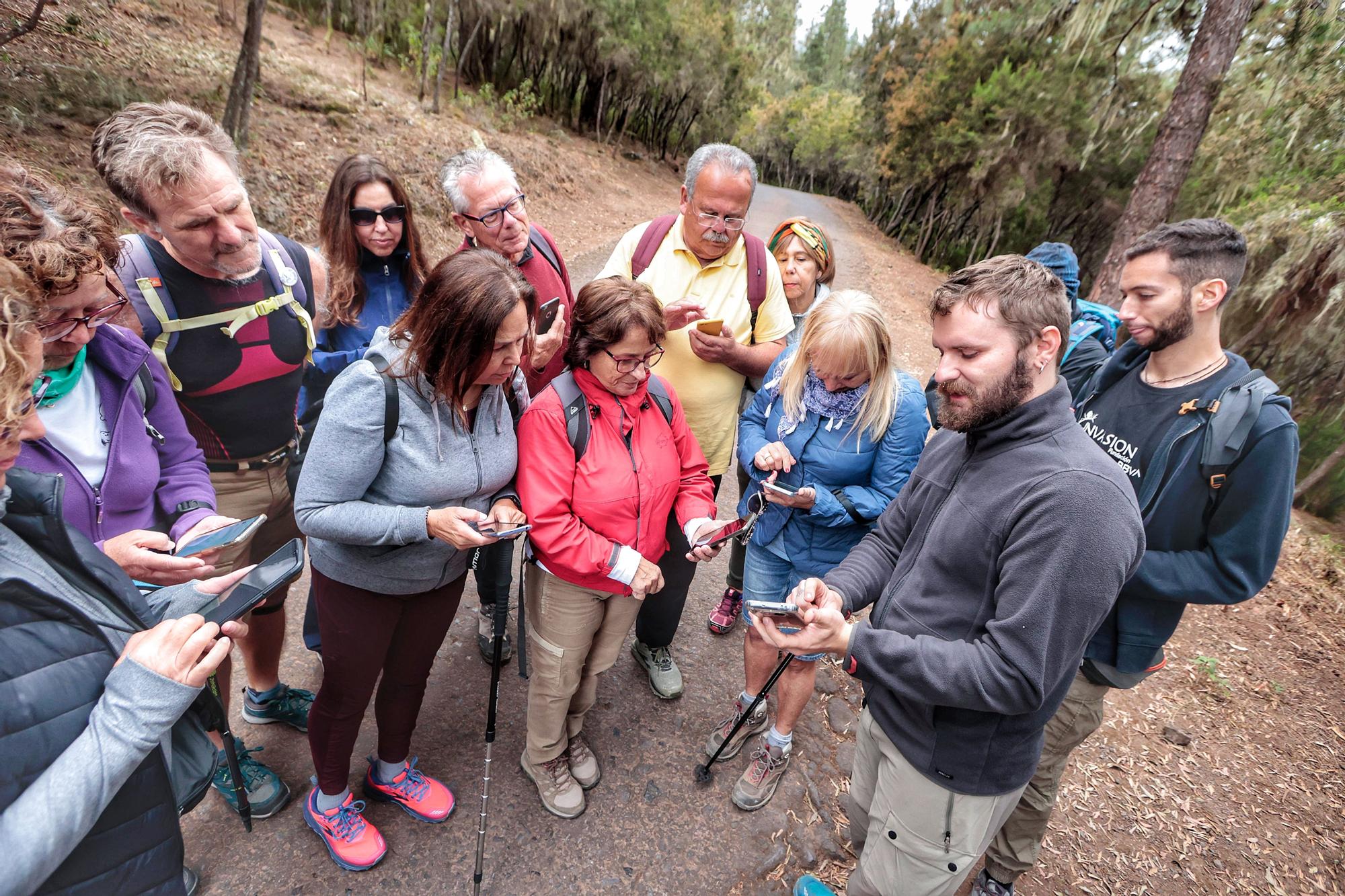 Tercera edición del Biomaratón de Flora Española, en el Parque Recreativo La Caldera, La Orotava