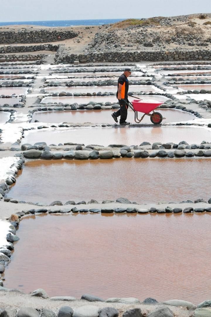 Reportaje en las Salinas de Tenefe en Pozo Izquierdo