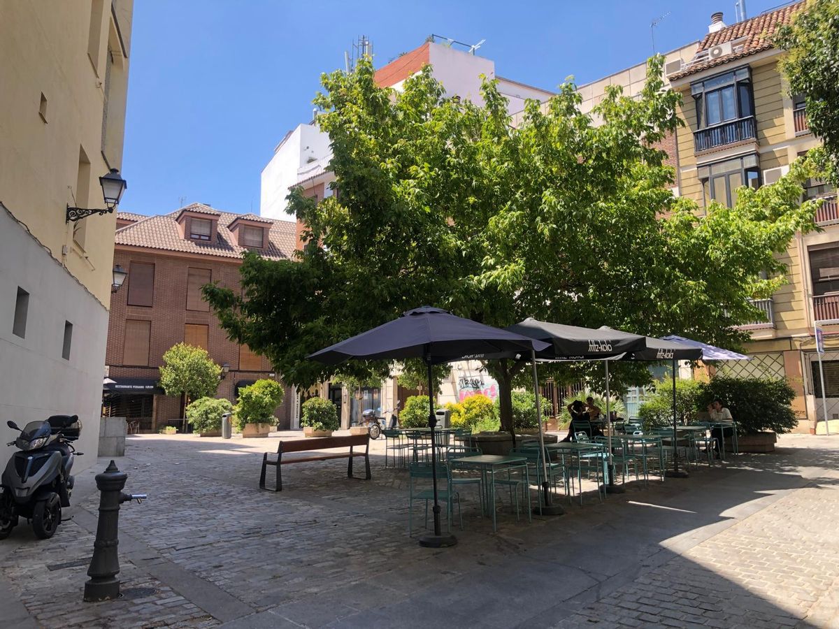 La plaza del Biombo, con su gran árbol central.