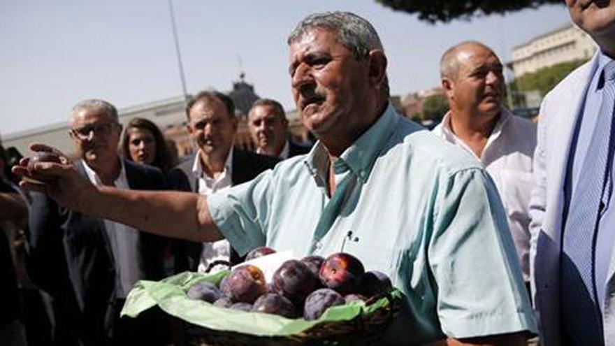 Los agricultores exigen que la ciruela no se excluya de las ayudas europeas