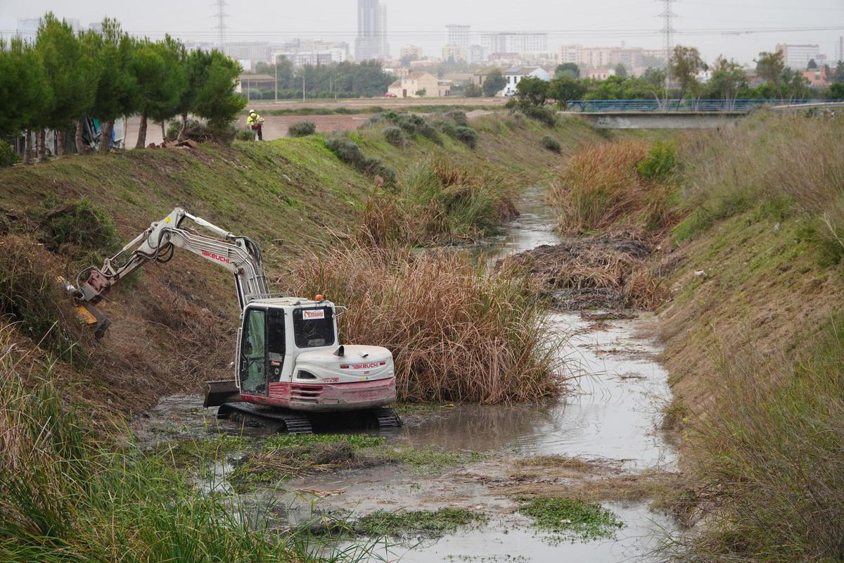 Los trabajos de la CHJ en los Palmarets.