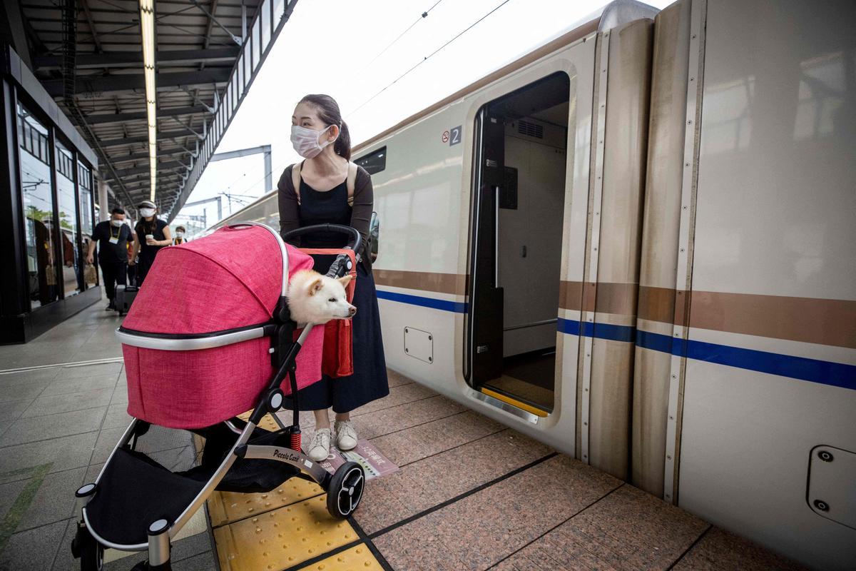 Una mujer se dispone a subir al tren bala con su mascota en un carrito.