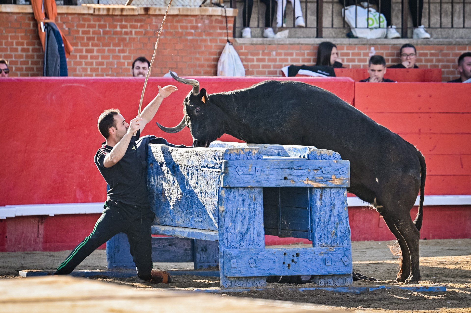 Resumen concurso ganaderías Pascua Taurina de Onda