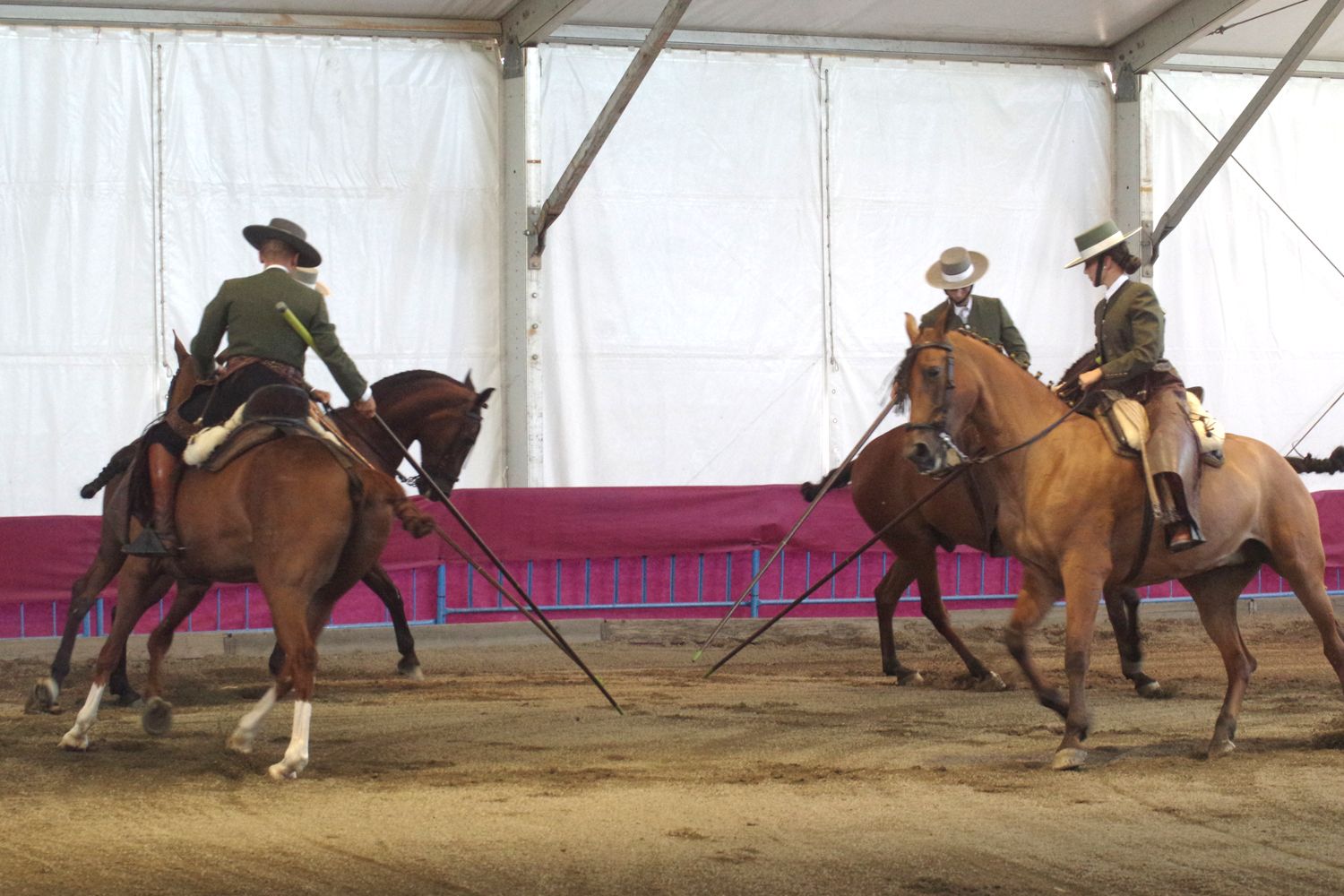 Feria de Málaga 2023 I El baile a caballo en el Centro de Exhibición Ecuestre del Real