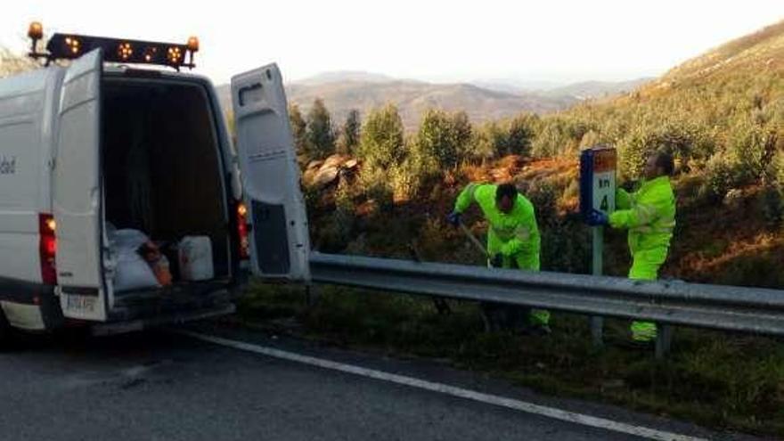 Instalación de los nuevos hitos kilométricos. // Diputación