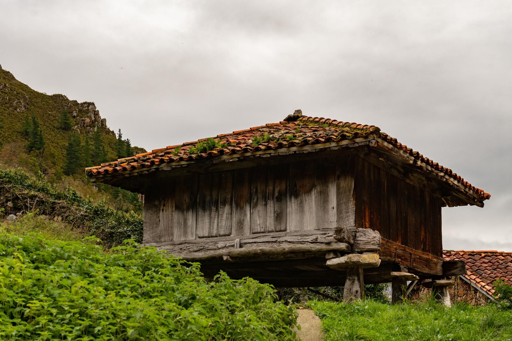 Bandujo conserva elemento de arquitectura tradicional.