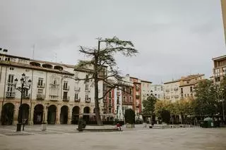 Logroño de lunes a jueves: cuando la escapada sabe todavía mejor
