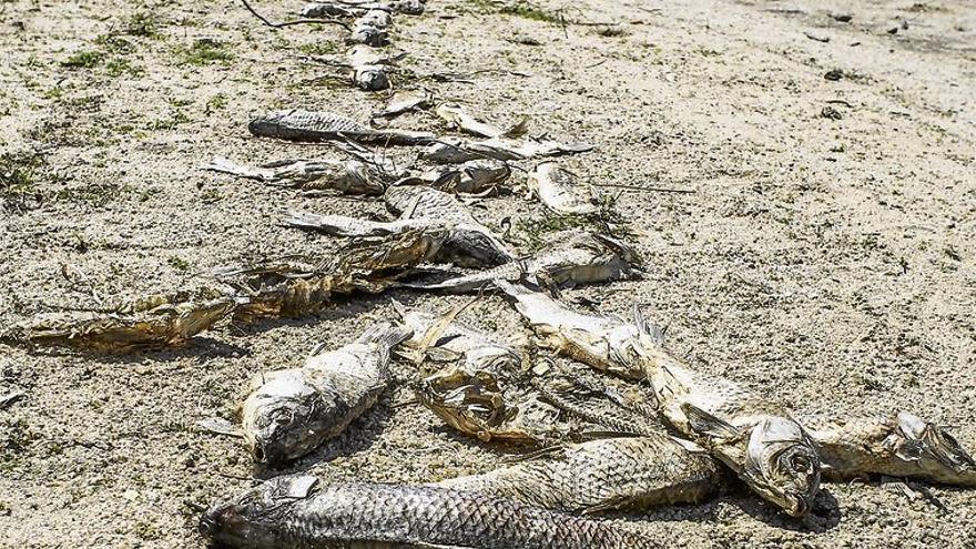 La CHT analiza el agua del pantano de Valdesalor por si está contaminada