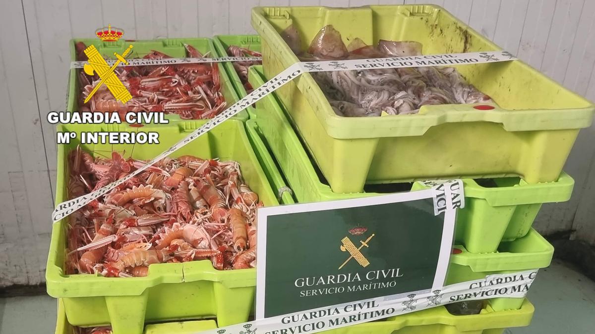 Dos investigados en A Coruña por capturar casi 150 kilos de cigala en una zona prohibida