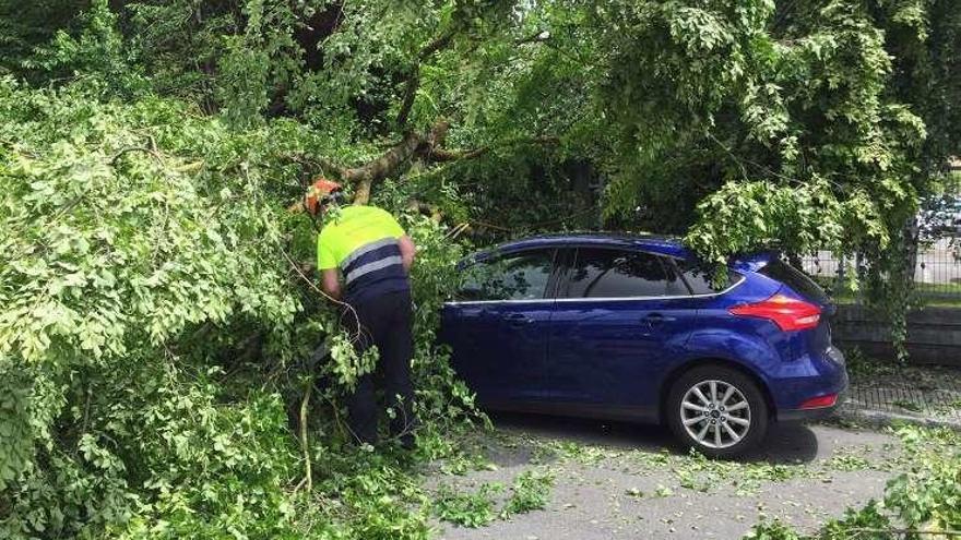 Un árbol del recinto del Hospital cae sobre dos coches sin causar heridos