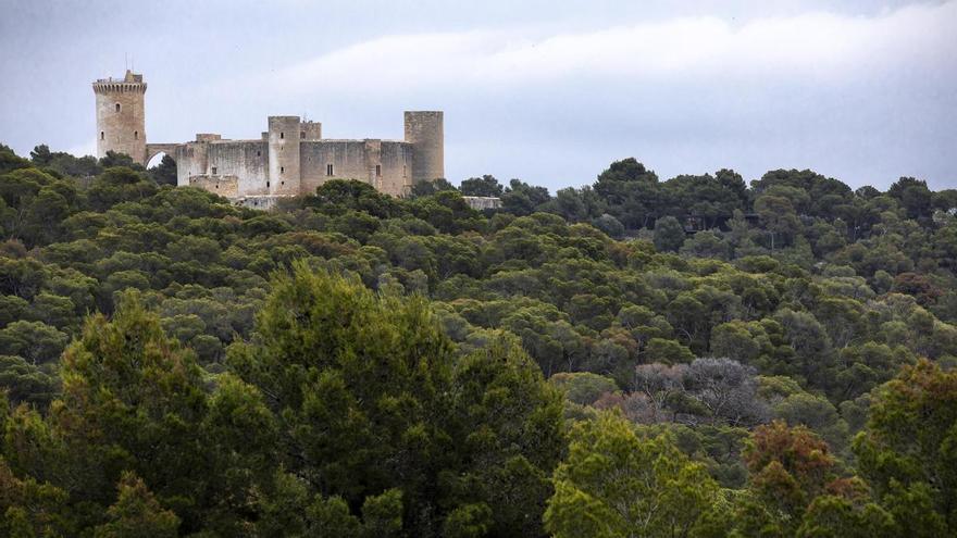 Cort licita la concesión del bar y la tienda del Castillo de Bellver por cuatro años